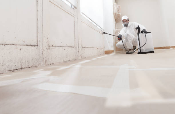 24/7 Emergency Bathroom Mold Removal experts in Georgetown, GA